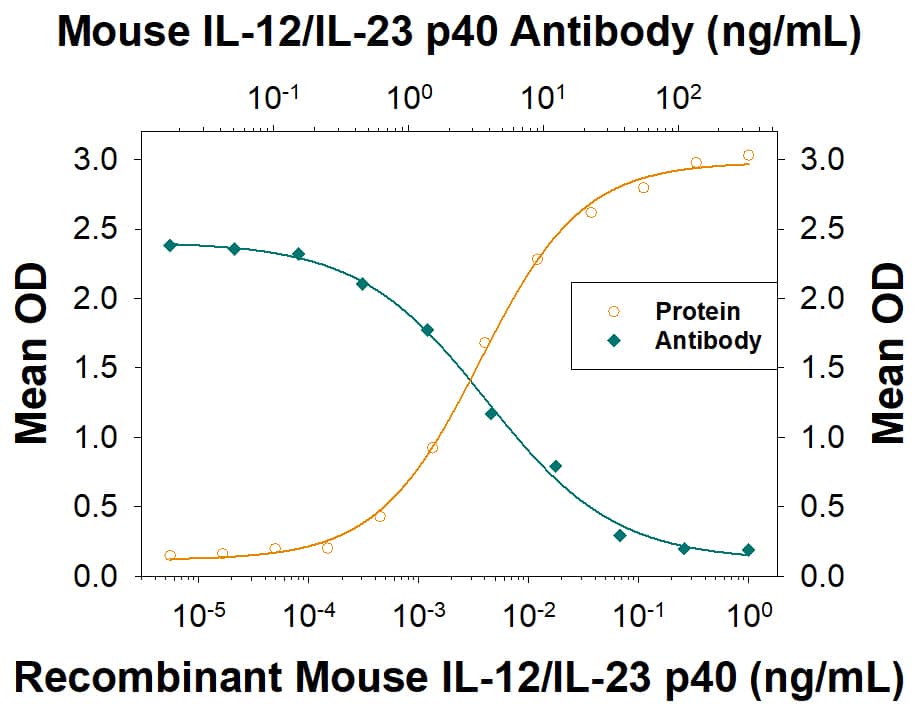 IFN-gamma  Secretion Induced by IL-12 and Neutralization by Mouse IL-12/IL-23 p40 Antibody.