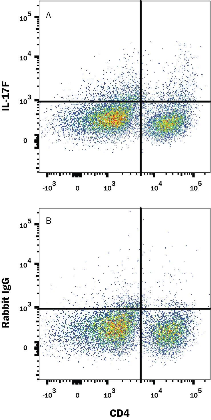 Detection of IL-17F antibody in Mouse Splenocytes Stimulated to Induce Th17 Cells antibody by Flow Cytometry.