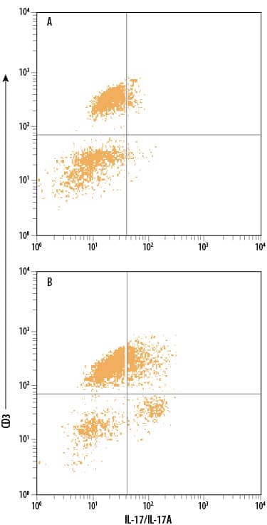 Detection of IL-17/IL-17A antibody in Human PBMCs antibody by Flow Cytometry.