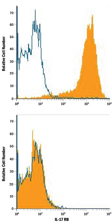 Detection of IL-17 RB antibody in HEK293 Human Cell Line Transfected with Mouse IL-17 RB antibody by Flow Cytometry.