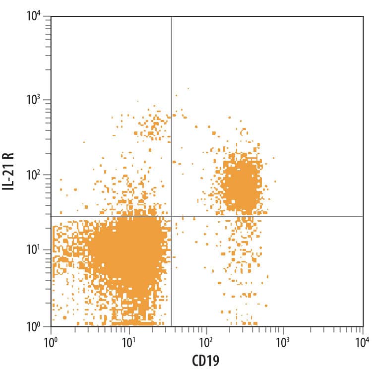 Detection of IL-21 R antibody in Human Blood Lymphocytes antibody by Flow Cytometry.