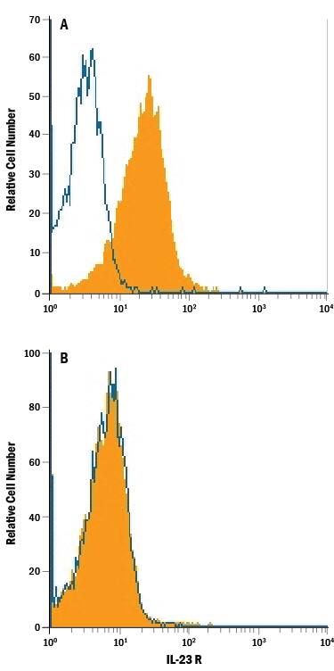 Detection of IL-23 R antibody in HEK293 Human Cell Line Transfected with Mouse IL-23 R antibody by Flow Cytometry.