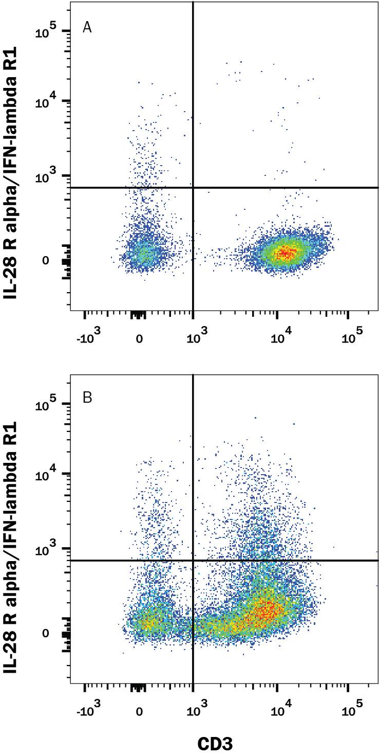 Detection of IL-28 Ra/IFN-? R1 antibody in PBMCs antibody by Flow Cytometry.