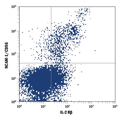 Detection of IL-2 R beta antibody in Human Blood Lymphocytes antibody by Flow Cytometry.