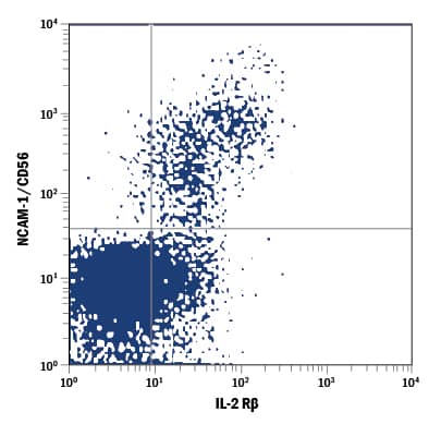 Detection of IL-2 R beta antibody in Human Blood Lymphocytes antibody by Flow Cytometry.