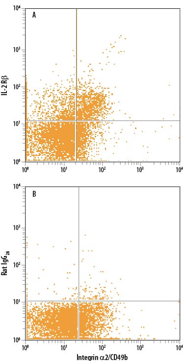 Detection of IL-2 R beta antibody in Mouse Splenocytes antibody by Flow Cytometry.