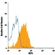 Detection of IRF5 antibody in Human Blood Monocytes antibody by Flow Cytometry.