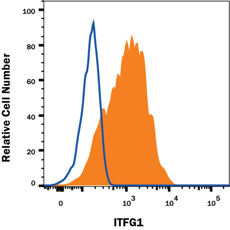 Detection of ITFG1 antibody in K562 Human Cell Line antibody by Flow Cytometry.