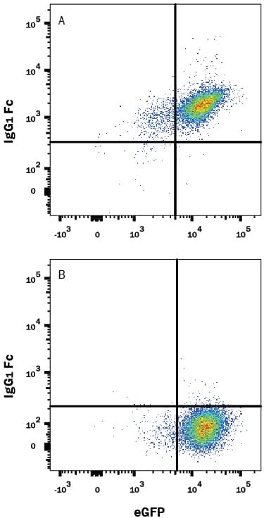 Detection of IgG1in Human B7-H1/PD-L1 Fc Chimera Bound to HEK293 Human Cell Line Transfected with Human PD-1 and eGFP antibody by Flow Cytometry.