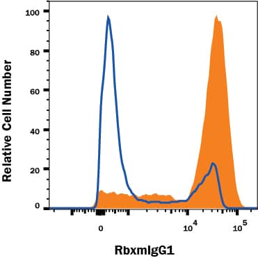 Detection of Mouse IgG1 Primary Antibody by Anti-Mouse IgG1-specific Secondary Antibody.