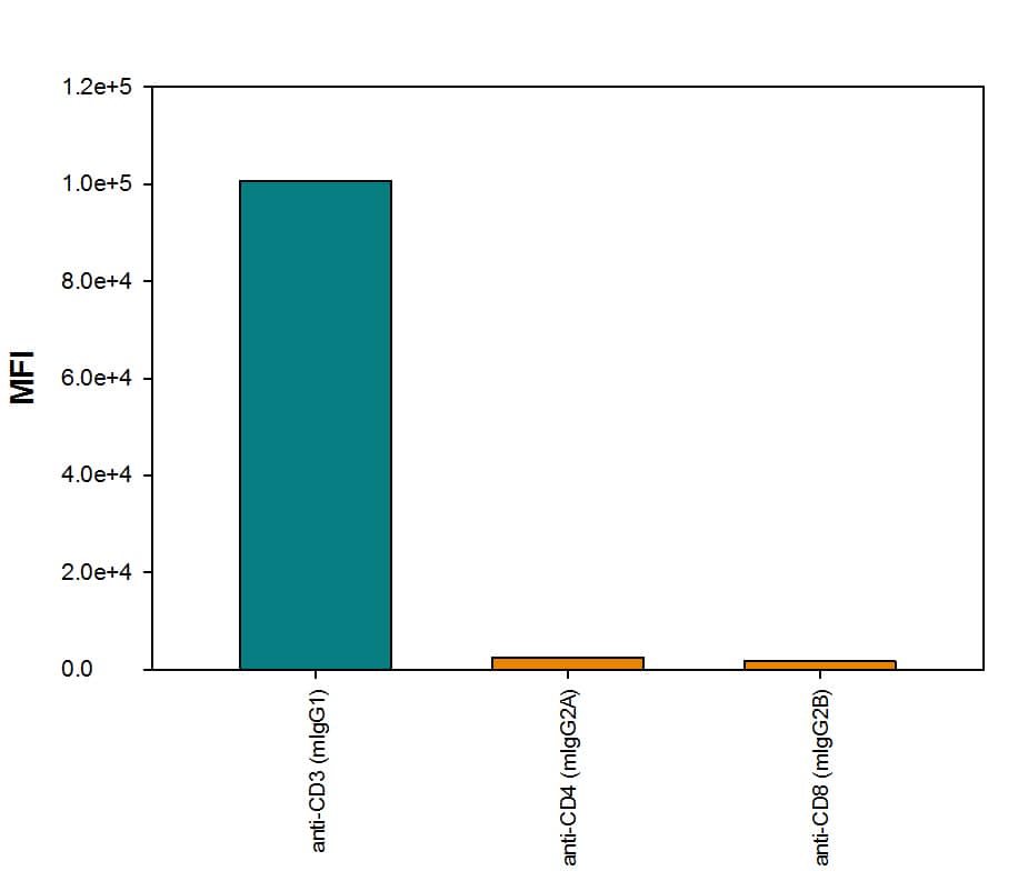 Detection of Mouse IgG1Primary Antibody by Anti-Mouse IgG1-specific Secondary Antibody.