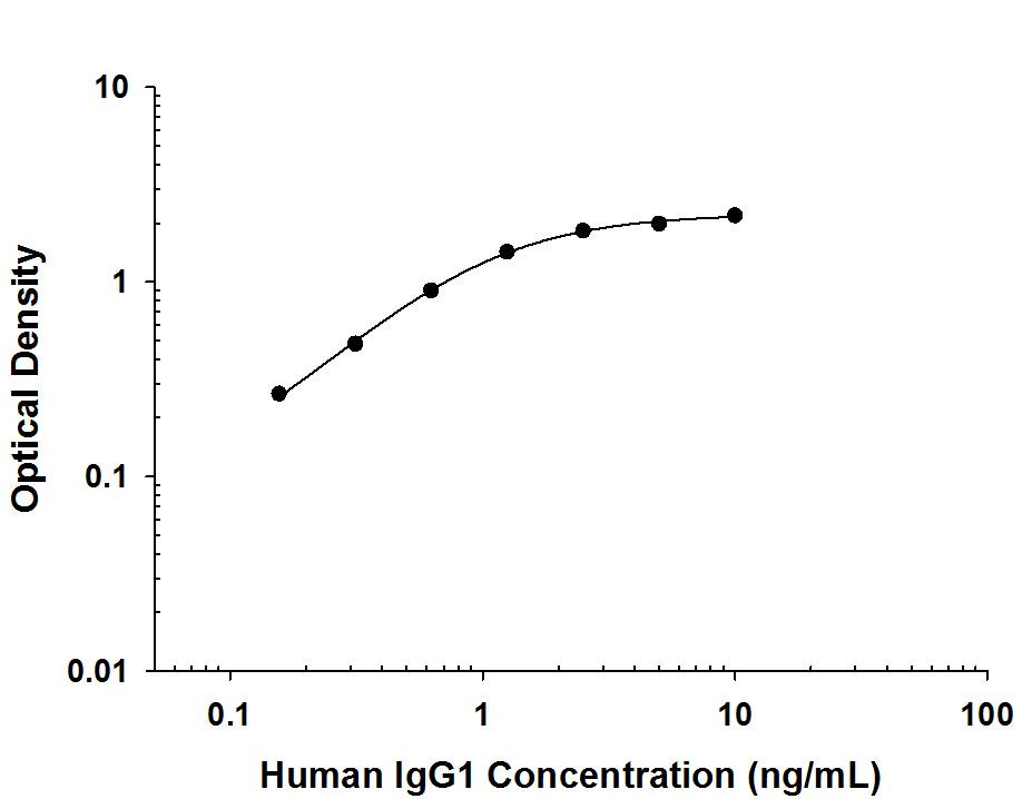 Human IgG1ELISA Standard Curve.