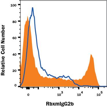 Detection of Mouse IgG2B PrimaryAntibody by Anti-Mouse IgG2B-specific Secondary Antibody.