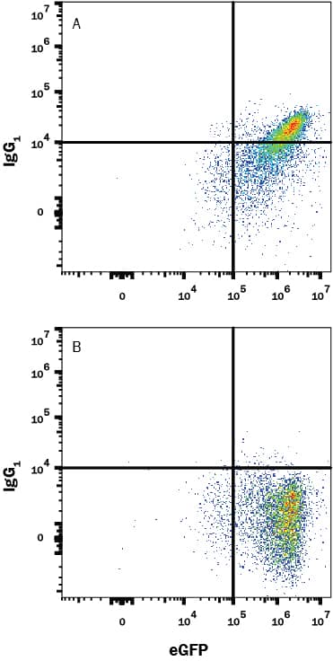 Detection of IgG1 antibody in Human B7-H1/PD-L1 Fc Chimera Bound to HEK293 Human Cell Line Transfected with Human PD-1 and eGFP antibody by Flow Cytometry.
