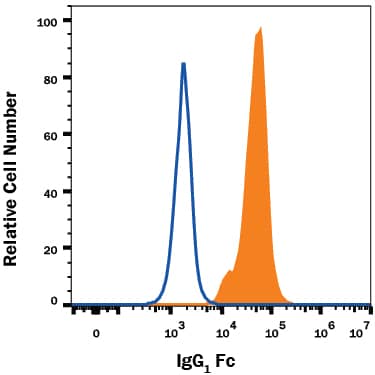 Detection of IgG1in HEK293 Human Cell Line Transfected with Human CD94 Fc Chimera antibody by Flow Cytometry.