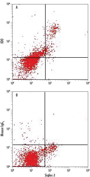 Detection of Indoleamine 2,3-dioxygenase/IDO antibody in Human MDSCs antibody by Flow Cytometry.