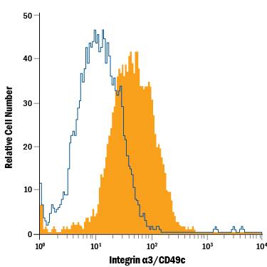 Detection of Integrin a3/CD49c antibody in XB2 Mouse Cell Line antibody by Flow Cytometry.