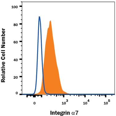 Detection of Integrin a7 antibody in C2C12 Mouse Cell Line antibody by Flow Cytometry.