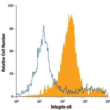 Detection of Integrin a8 antibody in H4 Human Cell Line antibody by Flow Cytometry.