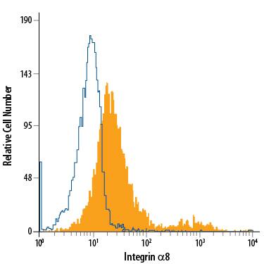 Detection of Integrin a8 antibody in H4 Human Cell Line antibody by Flow Cytometry.