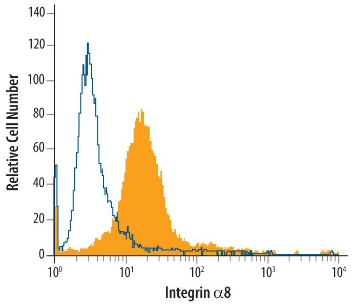 Detection of Integrin a8 antibody in H4 Human Cell Line antibody by Flow Cytometry.