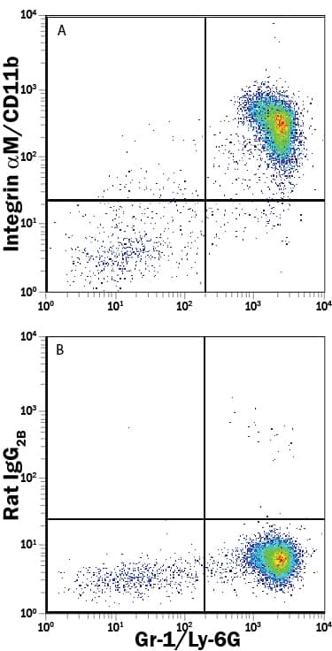 Detection of Integrin aM/CD11b antibody in Mouse Bone Marrow Cells antibody by Flow Cytometry.