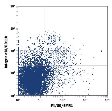 Detection of Integrin aM/CD11b antibody in Mouse Splenocytes antibody by Flow Cytometry.