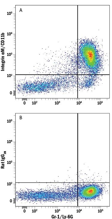 Detection of Integrin aM/CD11b antibody in Mouse Bone Marrow Cells antibody by Flow Cytometry.