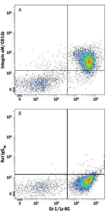 Detection of Integrin aM/CD11b antibody in Mouse Bone Marrow Cells antibody by Flow Cytometry.