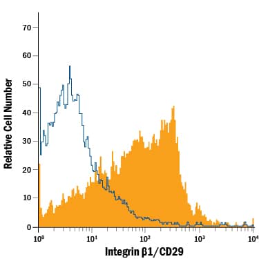 Detection of Integrin  beta1/CD29 antibody in Equine PBMCs antibody by Flow Cytometry.