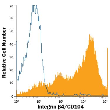 Detection of Integrin  beta4/CD104 antibody in A431 Human Cell Line antibody by Flow Cytometry.