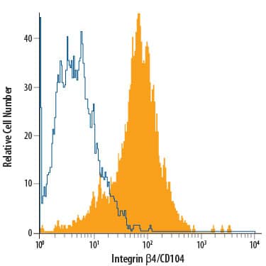 Detection of Integrin  beta4/CD104 antibody in A431 Human Cell Line antibody by Flow Cytometry.