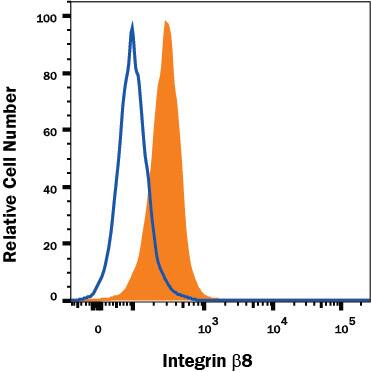 Detection of Integrin  beta8 antibody in WM-115 Human Cell Line antibody by Flow Cytometry.