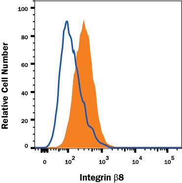 Detection of Integrin beta 8 antibody in WM-115 Cell Line antibody by Flow Cytometry.