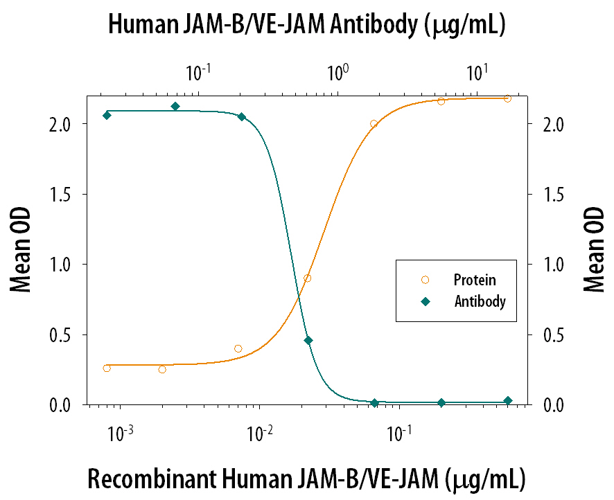 Cell Adhesion Mediated by JAM-B/VE-JAM and Neutralization by Human JAM-B/VE-JAM Antibody.