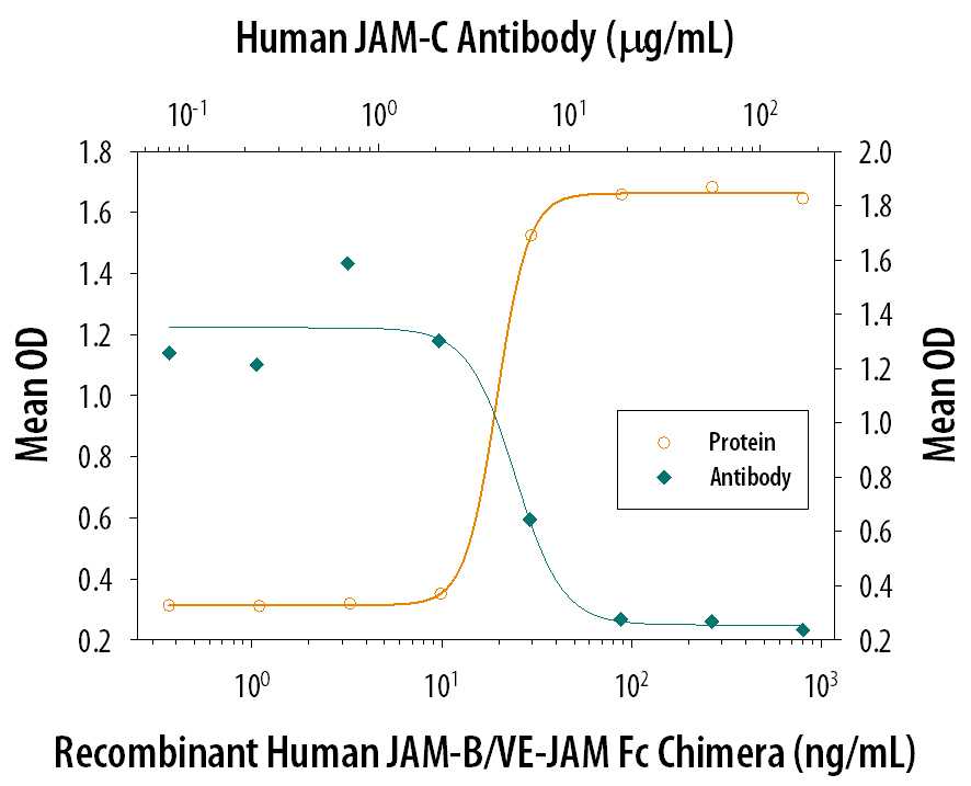 Cell Adhesion Mediated by JAM-C and Neutralization by Human JAM-C Antibody.
