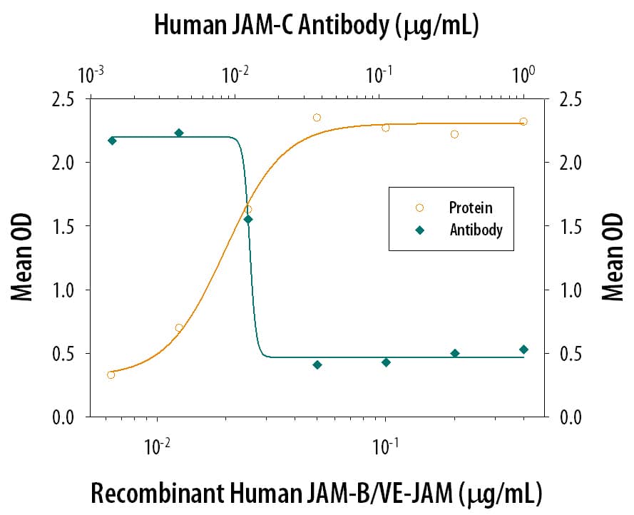 Cell Adhesion Mediated by JAM‑C and Neutralization by Human JAM‑C Antibody.