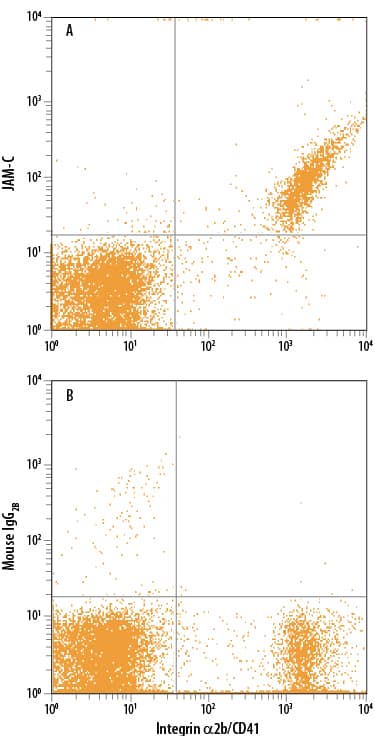 Detection of JAM-C antibody in CD41+Human Platelets antibody by Flow Cytometry.