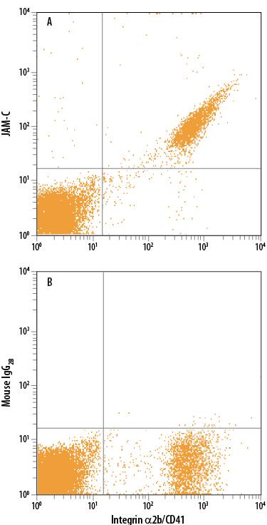 Detection of JAM-C antibody in CD41+Human Platelets antibody by Flow Cytometry.