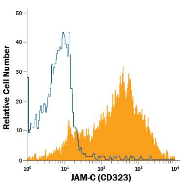 Detection of JAM-C (CD323) antibody in B16-F1 Mouse Cell Line antibody by Flow Cytometry.
