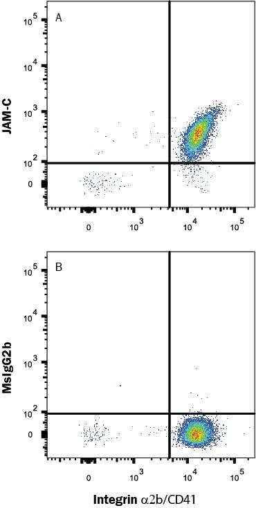 Detection of JAM-C antibody in CD41+ Human Platelets antibody by Flow Cytometry.