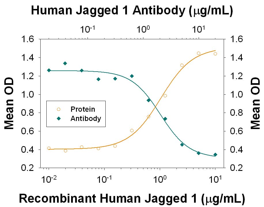 Alkaline Phosphatase Production Induced by Jagged 1 and Neutralization by Human Jagged 1 Antibody.