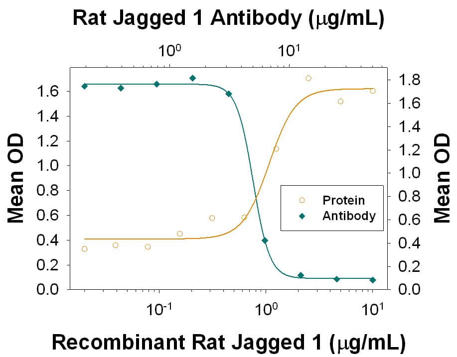 Differentiation Induced by Jagged 1 and Neutralization by Rat Jagged 1 Antibody.