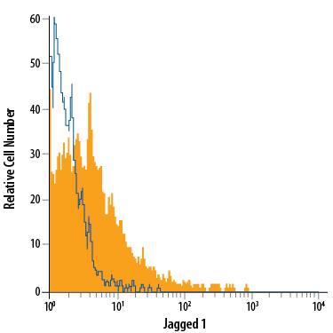 Detection of Jagged 1 antibody in K562 Human Cell Line antibody by Flow Cytometry.