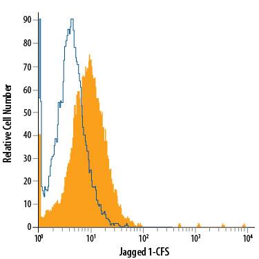 Detection of Jagged 1 antibody in bEnd.3 Mouse Cell Line antibody by Flow Cytometry.