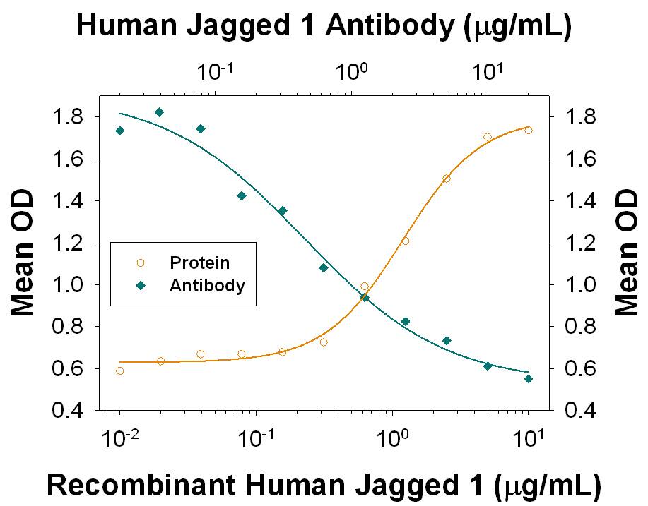 Alkaline Phosphatase Production Induced by Jagged 1 and Neutralization by Human Jagged 1 Antibody.