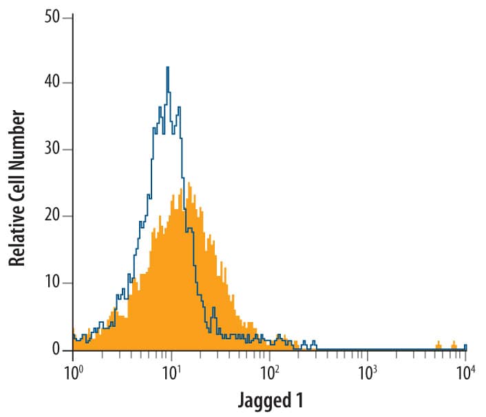 Detection of Jagged 1 antibody in bEnd.3 Mouse Cell Line antibody by Flow Cytometry.