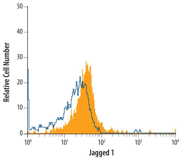 Detection of Jagged 1 antibody in Rat Cortical Stem Cells antibody by Flow Cytometry.