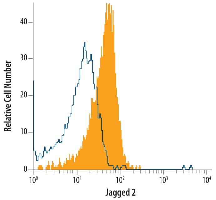 Detection of Jagged 2 antibody in D3 Mouse Cell Line antibody by Flow Cytometry.