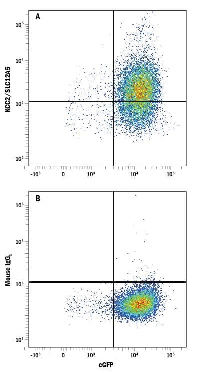 Detection of KCC2/SLC12A5 antibody in HEK293 Human Cell Line Transfected with Human KCC2/SLC12A5 and eGFP antibody by Flow Cytometry.